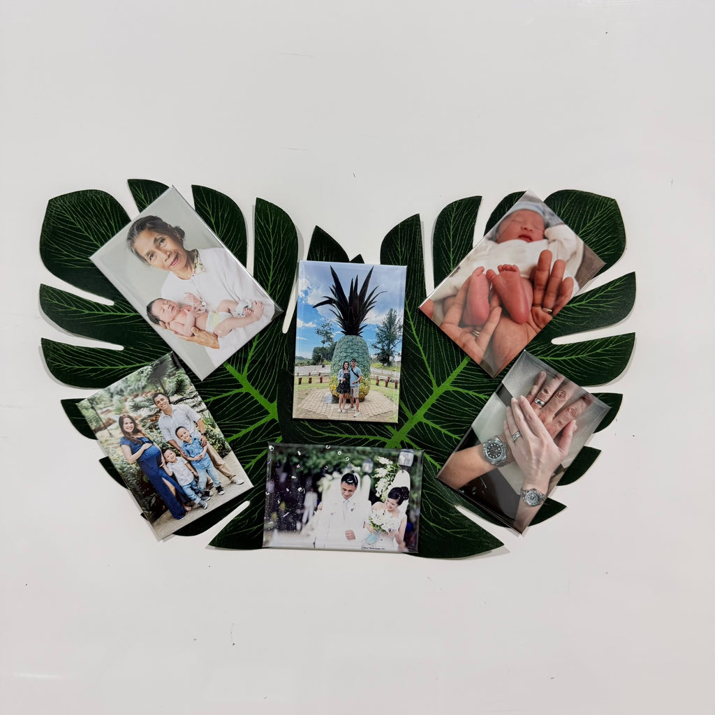 Custom Photo Magnets - 2x3" 6 Set