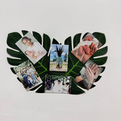 Custom Photo Magnets - 2x3" 6 Set